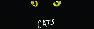 Broadway in Scranton presents "CATS" @ Harry and Jeanette Weinberg Memorial Theatre | Scranton | Pennsylvania | United States